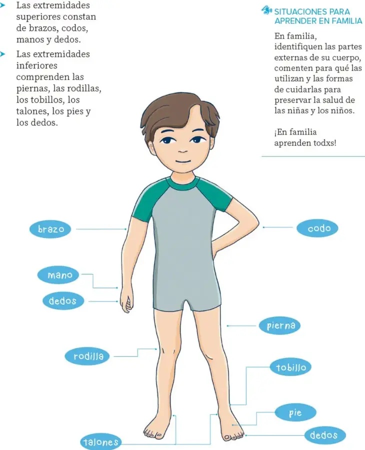 Figura 1 de Nuestros saberes: Libro para alumnos, maestros y familia. Libro de Educación Primaria Grado 1° Ciclo Escolar 2025 - 2026