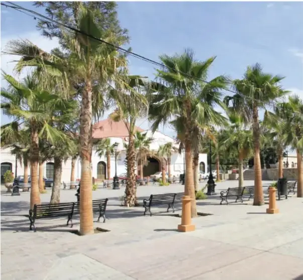 Plaza del pueblo con palmeras altas, bancas, faroles y un edificio blanco con techo rojo al fondo.