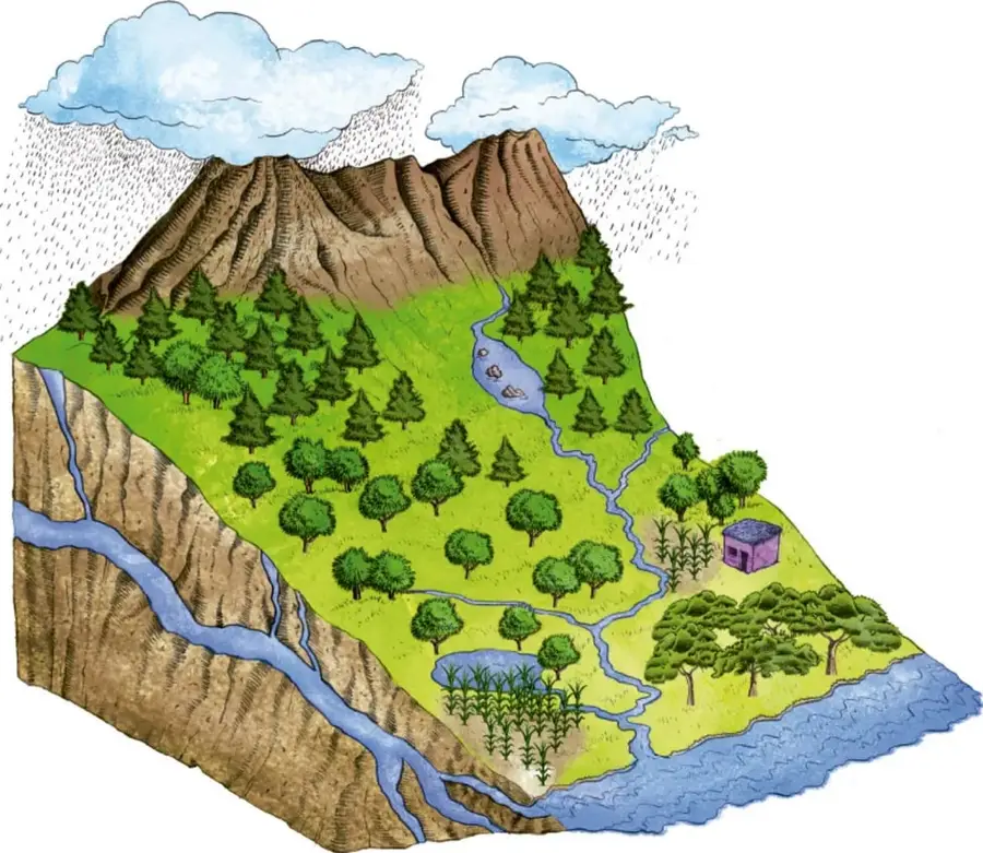 Ilustración en corte de una cuenca hidrográfica: montañas con lluvia, bosques de pinos, un río que desciende por la ladera, cultivos, una casa pequeña y la desembocadura del río en el mar. Representa el recorrido del agua desde la parte alta hasta su salida al océano.