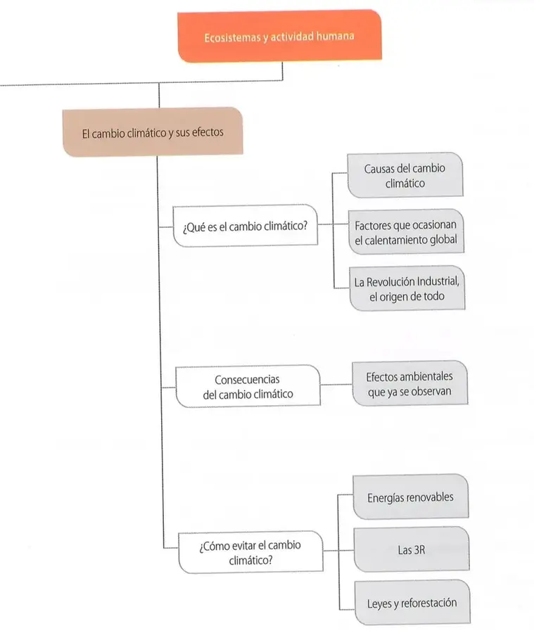 Figura 1 de Ciencias Naturales 8° · Egb 8 Ciencias Naturales 2025 · 2025