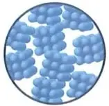 Figura 6 de Ciencias Naturales 2° · Egb 2 Ciencias Naturales 2025 · 2025