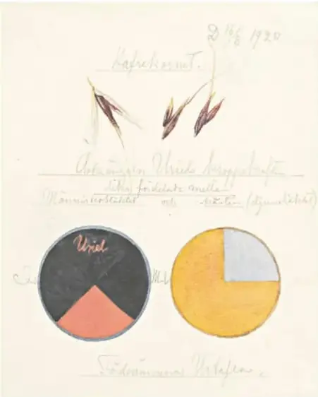 Reproducción de Una obra sobre cereales, centeno, 1920, de Hilma af Klint. Boceto con anotaciones manuscritas y dos diagramas circulares con sectores de color.