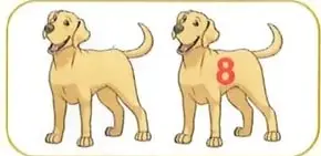 Ilustraciones de animales que representan ejercicios para identificar el número intermedio.