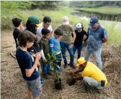 Grupo de personas de la comunidad plantando árboles en un área natural.