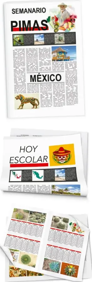 Portadas de periódicos escolares creados por estudiantes: "Semanario PIMAS México", "Hoy Escolar" con calavera de catrina, y páginas interiores con fotografías de cactus y plantas del desierto.