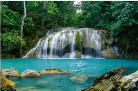 Cascada en un bosque húmedo con vegetación verde abundante, representando un ambiente con vida.