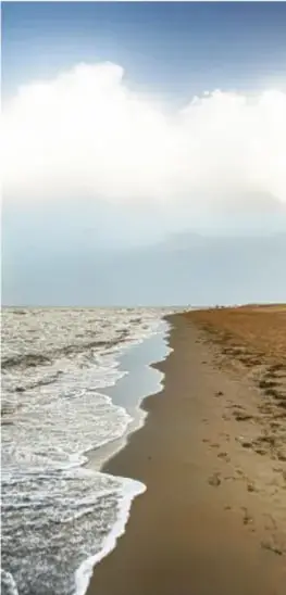 Fotografía de una playa vista desde arriba: espuma del mar sobre arena húmeda, con cielo despejado y nubes suaves en el horizonte, evocando el mar primordial de los mitos.