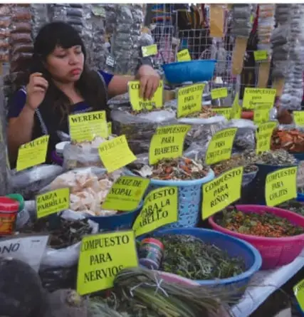 Fotografía de una feria o mercado con puestos de plantas medicinales y carteles con nombres como 'WERIKE', 'RUDA', 'COPALILLO', 'COMPUESTO PARA NERVIOS'.