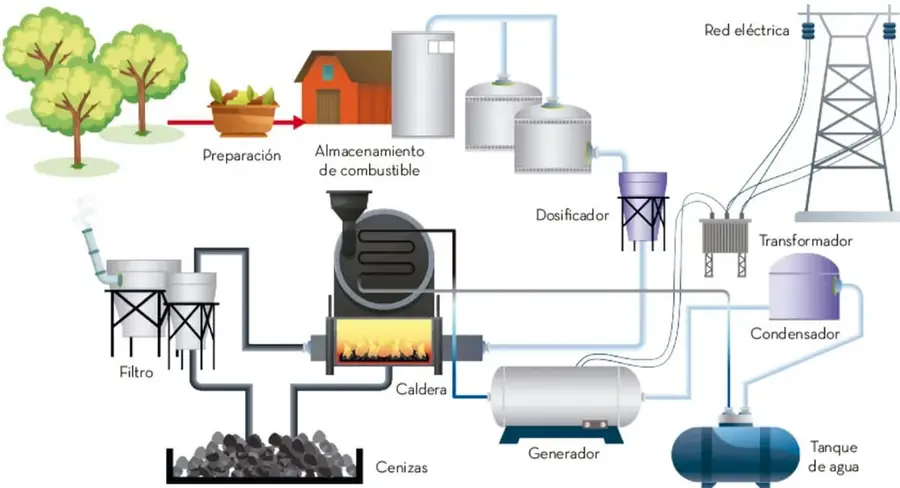 Diagrama de una central de biomasa: preparación, almacenamiento, dosificador, caldera, filtro, generador, condensador, transformador y red eléctrica.