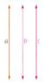 Figura 3 de Matematica 5° · Egb 5 Matematica 2025 · 2025