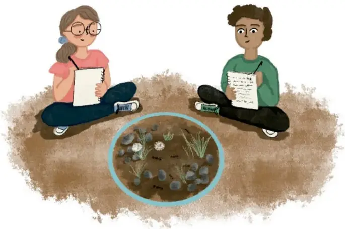 Ilustración de dos estudiantes sentados en el suelo observando un área muestral circular con plantas, piedras y pequeños organismos.
