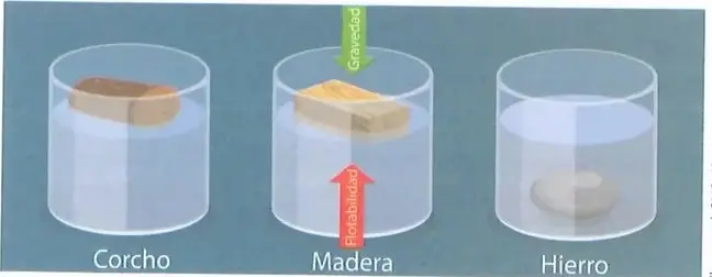 Figura 2 de Ciencias Naturales 10° · 2025