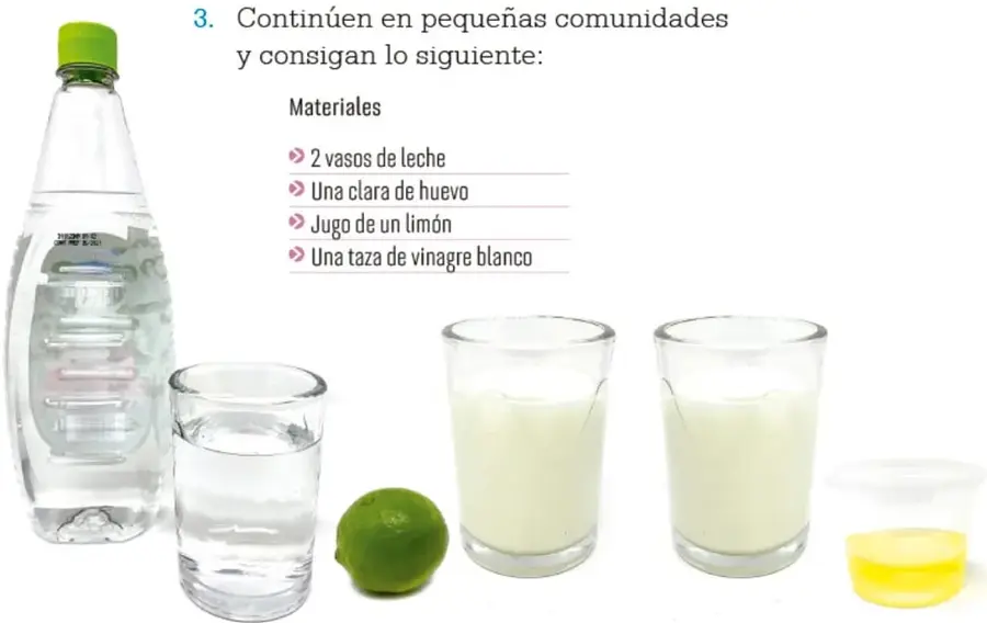 Materiales para la actividad 3: botella de vinagre blanco, vaso con agua, limón, dos vasos con leche, clara de huevo y un vaso con vinagre.