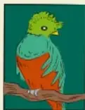 Ilustración de un ave verde y naranja posada sobre una rama, dentro de un marco tipo estampilla.