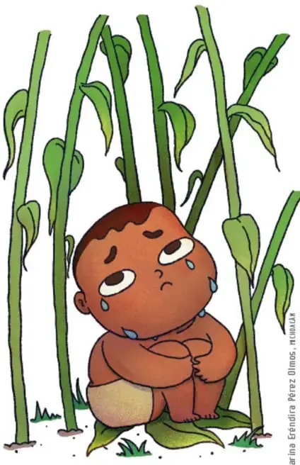 Ilustración de un niño pequeño y llorando, acurrucado entre plantas altas de maíz (milpa), con gotas de lágrimas. Ilustración de Karina Estrada Peréz Olmos, PUMA GRILLOS.