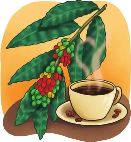 Ilustración alusiva al arroz.