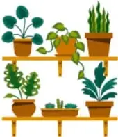 Ilustraciones de niños y adultos regando y trasplantando plantas en macetas, correspondiente al paso 4.