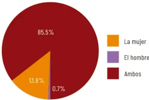 Gráfica circular con tres sectores: La mujer (13.8%), El hombre (0.7%) y Ambos (85.5%).