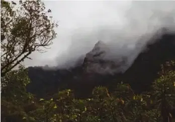 Bosque nublado con gran riqueza de briófitas, ubicado en las estribaciones de la cordillera Oriental.
