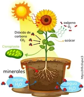 Figura 3 de Quimica 2° · Bgu 2 Quimica 2024 · 2024