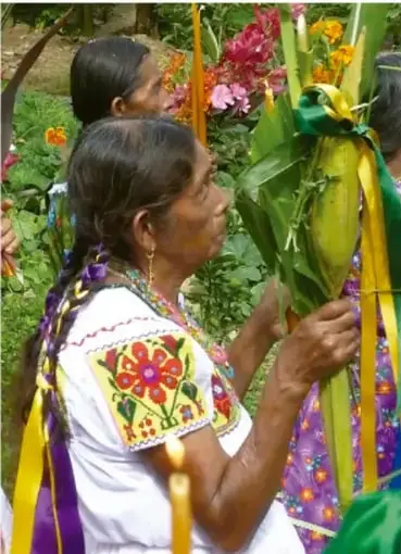 Fotografía de mujeres indígenas nahuas portando ofrendas florales y de follaje, atuendo tradicional bordado, en el contexto de la preparación del ritual.