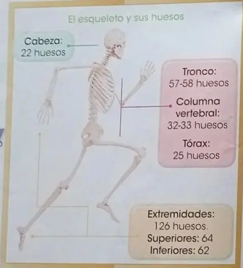 Pequeña fotografía de niño haciendo estiramiento.