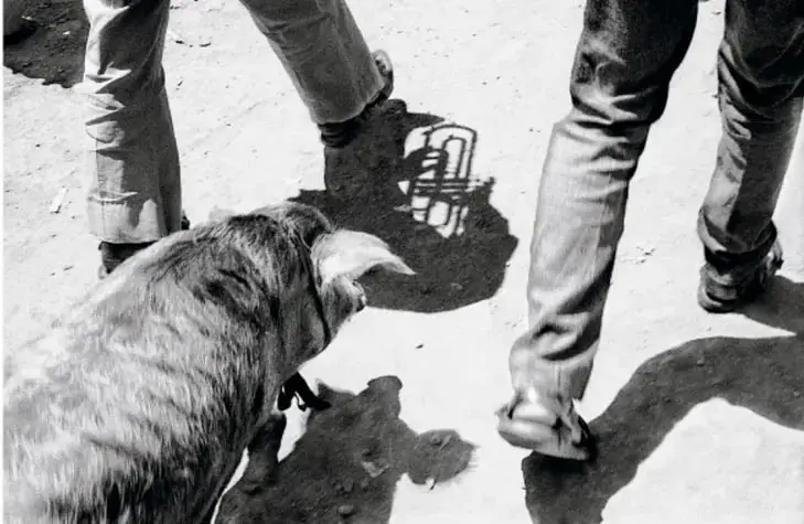 Fotografía en blanco y negro de dos personas caminando junto a un animal de carga (burro o mula) sobre tierra iluminada por el sol, con sombras marcadas en el suelo.