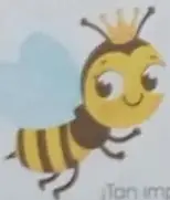 Recuadro rectangular vacio para que el estudiante dibuje los peligros de las abejas.