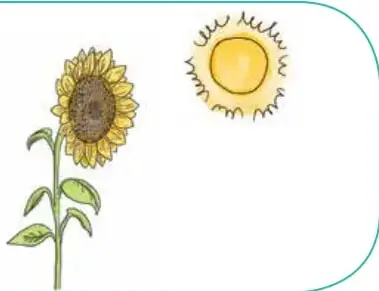 Ilustración de un girasol con tallo y hojas, junto a un sol amarillo sonriente.
