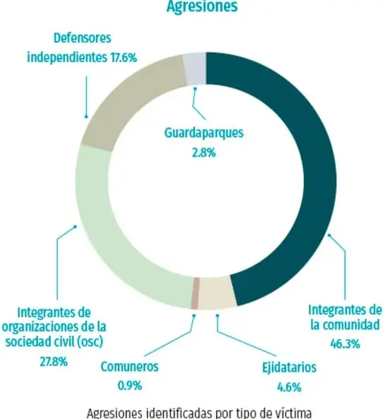 Gráfico de anillo (donut) titulado 'Agresiones' que muestra las agresiones identificadas por tipo de víctima con porcentajes.