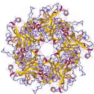 Estructura tridimensional de la proteína del virus del papiloma humano (VPH) en representación de cinta con hélices alfa (amarillo) y láminas beta.