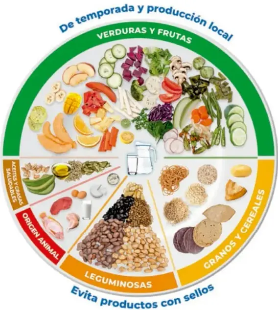 Ilustración circular del Plato del Bien Comer dividida en franjas de colores: verde (verduras y frutas), naranja (granos y cereales), rojo (origen animal) y café (leguminosas), con un vaso de agua al centro. Leyendas: 'De temporada y producción local' arriba y 'Evita productos con sellos' abajo.