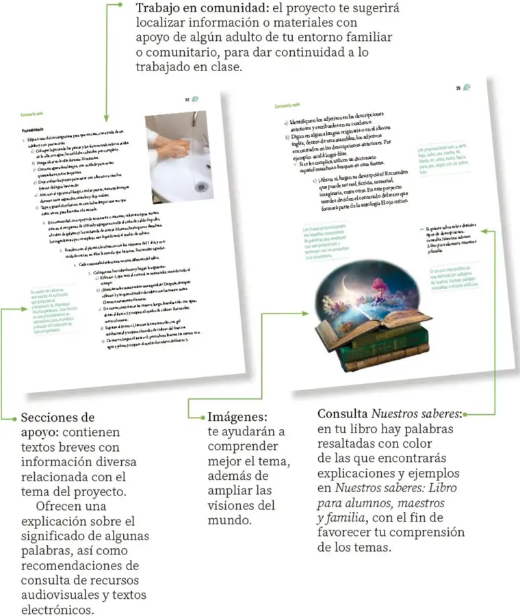 Fotografía de manos lavándose, relacionada con hábitos de higiene.