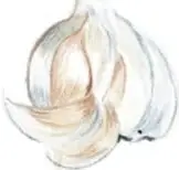 Dibujo de una cabeza con cabello estilizado en líneas grises, junto al título.