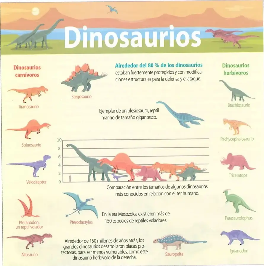 Figura 2 de Ciencias Naturales 10° · 2025