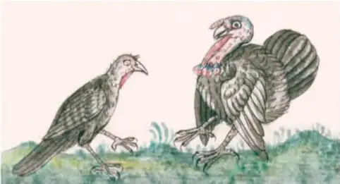 Pintura histórica de dos guajolotes sobre pasto.