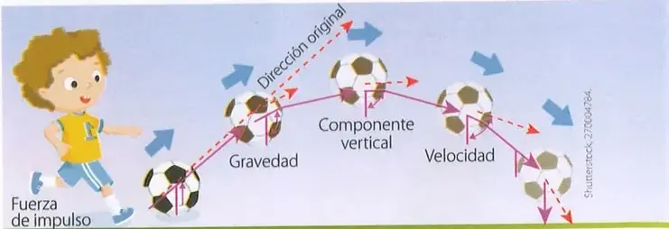 Figura 3 de Ciencias Naturales 9° · 2025