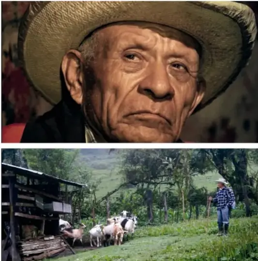 Retrato de Don Isidro, un pastor adulto mayor con sombrero de palma y mirada serena.