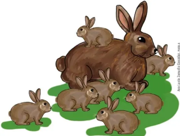 Ilustración de una coneja adulta con varias crías (gazapos) sobre el pasto.