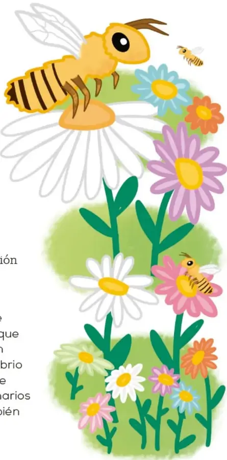 Ilustración de abejas volando entre flores de colores (margaritas, flores rosas y naranjas) sobre un fondo verde.