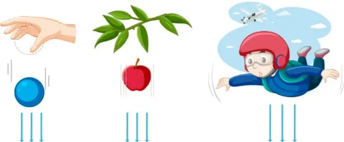 Tres ilustraciones sobre la gravedad: una mano que suelta una esfera azul, una manzana que cae de una rama y una persona en caída libre con paracaídas.