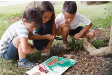 Fotografía de tres niños observando y dibujando una planta o un cartel en el suelo, al aire libre.