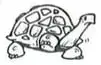 Dibujo lineal de un pez dentro de un recuadro para colorear y completar con su hábitat.