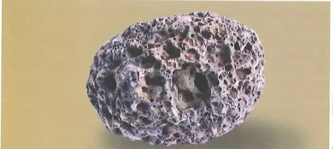 Figura 3 de Ciencias Naturales 10° · 2025