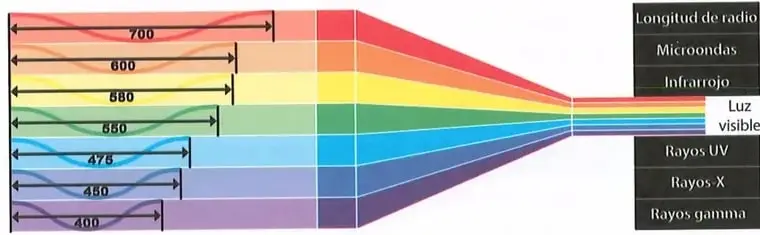 Figura 2 de Ciencias Naturales 10° · 2025