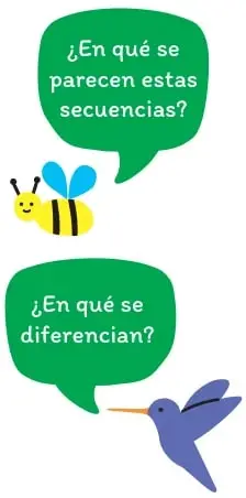 Figura 6 de Matemática – Segundo Básico | Texto del Estudiante MINEDUC – Descargar PDF · 2024