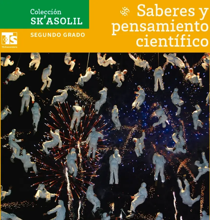 Figura 1 de Colección Sk´asolil. Saberes y pensamiento científico. Libro de Educación Telesecundaria Grado 2° Ciclo Escolar 2025 - 2026