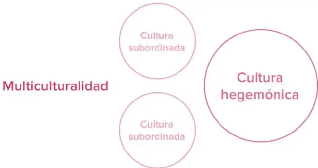Diagrama con un círculo grande etiquetado 'Cultura hegemónica' y dos círculos pequeños etiquetados 'Cultura subordinada', bajo el rótulo 'Multiculturalidad'. Fuente: elaboración propia con base en Walsh (2004).
