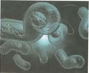 Figura 3 de Ciencias Naturales 8° · Egb 8 Ciencias Naturales 2025 · 2025