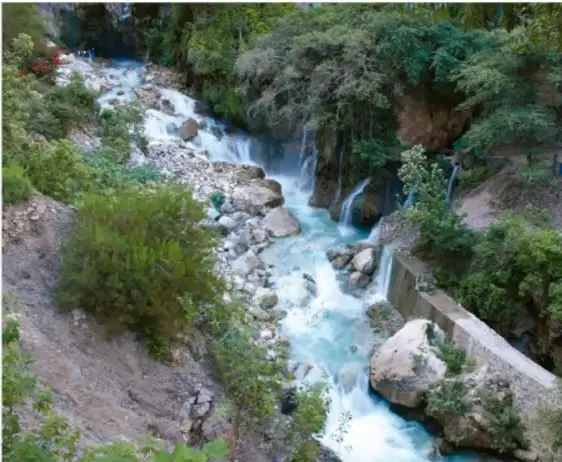 Fotografía de un río de aguas turquesa que corre entre rocas y vegetación abundante.